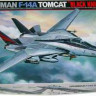 Tamiya 60313 F-14A Tomcat Black Knights 1/32