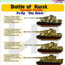 Hm Decals HMDT48006 1/48 Decals Pz.Kpfw.VI Tiger I Battle of Kursk 2
