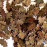 Plus model 288 Maple leaves - extra colors 1:35