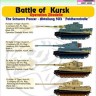 Hm Decals HMDT48008 1/48 Decals Pz.Kpfw.VI Tiger I Battle of Kursk 4