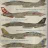 Eduard D48105 Decals F-14A (TAM) 1/48