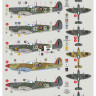 Dk Decals 32006 Spitfire Mk.IX ACES (7x camo) 1/32