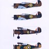 Sbs Model D48036 Декаль South African AF in East Africa vol. I 1/48
