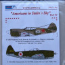 AML AMLC32004 Маски P-40E&P-47D-27 Amer. in Stalin Sky IV. 1/32