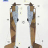 Lf Model M4859 Mask Henschel Hs 129B Camouflage painting 1/48