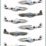 Model Maker Decals D72102A 303 Squadron North-American P-51 Mustangs 1/72