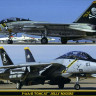 Hasegawa SP346 F-14A/B Tomcat "Jolly Rogers" (2 модели) 1/72