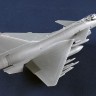 Trumpeter 01690 Истребитель J-10CE ВВС Пакистана и истребитель Rafale ВВС Индии 1/72