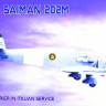 Kora Model KPK72086 Saiman 202M Liaison & Courier Italian Service 1/72