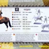 First To Fight FTF-72071 Polish Uhlans on horses 1939 1/72