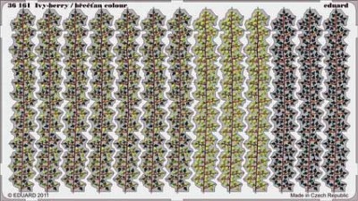 Eduard 36161 Ivy-berry / brectan colour