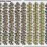 Eduard 36161 Ivy-berry / brectan colour