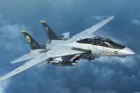 Trumpeter 03919 Самолет F-14D (1/144