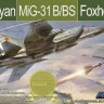 AMK K48002 SIO MODELS МиГ-31 БМ/БС Special Edition 1:48