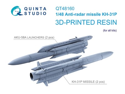 Quinta studio QT48160 Противорадиолокационные ракеты Х-31П с пусковыми устройствами, 2 шт. (для всех моделей) 1/48