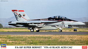 Hasegawa 02101 F/A-18F Super Hornet "VFA-41 Black Aces CAG" 1/72