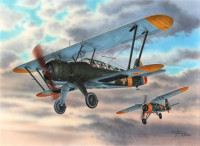 Special Hobby SH72293 IAR-38 Rumanian Reconnaissance Plane 1/72