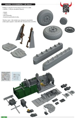 Eduard SIN64865 BIGSIN 1/48 P-51D ESSENTIAL (EDU)