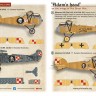 Print Scale 48250 Adam's head' on the wings of the Great War 1/48 Part 1 1/48