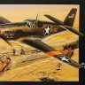Accurate Miniatures 3400 P-51 MUSTANG 1/48