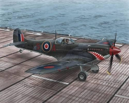 Special Hobby SH48102 Supermarine Seafire Mk. II "Torch & Avalanche" 1/48