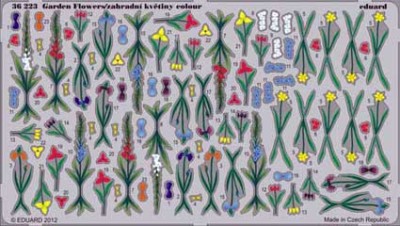 Eduard 36223 Garden Flowers/zahradni kvetiny colour