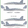 Model Maker Decals D48053 McDonnell-Douglas F/A-18D VMFA-533 Hawks 1/48