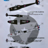 LF Model C4816 Decals P-38L Lightning FAEC (ACAD/HAS) 1/48