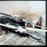 Accurate Miniatures 3410 RAF MK-1A MUSTANG 1/48