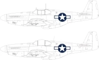 Eduard EX1038 Mask P-51B/C US national insignia (EDU) 1/48