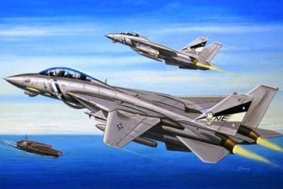 Hobby boss 80278 Самолет F-14D Super Tomcat (Hobby Boss) 1/72