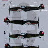 LF Model M7205 Mask Bf 109D/E over Swiss (AVIS/AML/HAS/TAM) 1/72