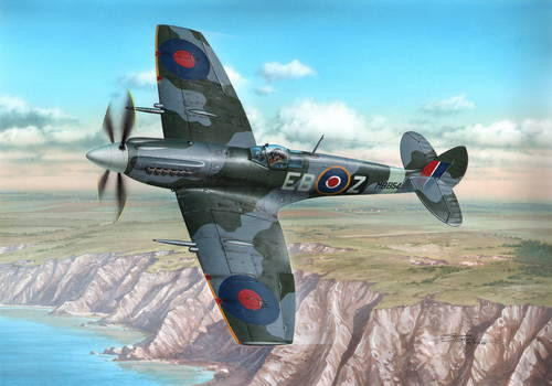 Special Hobby SH48107 Supermarine Spitfirw Mk. XII 1/48