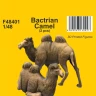 CMK F48401 Bactrian Camel (2 pcs.) 1/48
