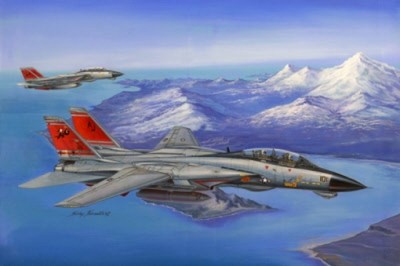 Hobby boss 80368 Самолет F-14D Super Tomcat (Hobby Boss) 1/48