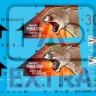 HAD 481006 Decal JAS-39 Gripen Tigermeet 2023 HUNAF 1/48