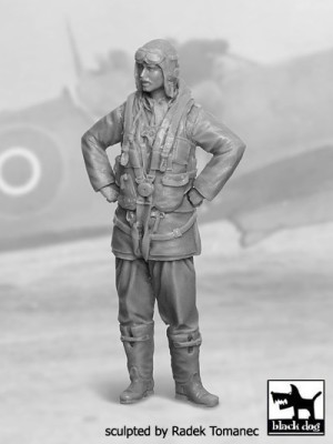 Black Dog F32029 RAF Fighter pilot 1940-45 No.2 (1 fig.) 1/32