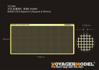 Voyager Model TE086 MESH 4X4 Square C (Square 0.65mm)