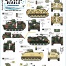 Star Decals 35-C1400 War in Ukraine # 11 Foreign Aid to Ukraine 2022-23 M113A2/A3, M113G3, M113AS4 1/35