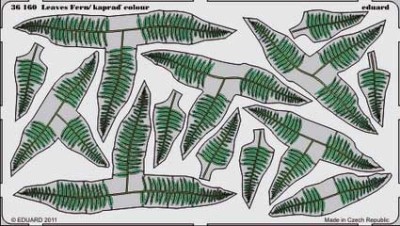 Eduard 36160 Leaves Fern / colour