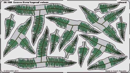 Eduard 36160 Leaves Fern / colour