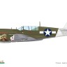 Eduard R0025 P-40N Warhawk Royal Class Dual Combo 1/48