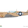 Eduard R0025 P-40N Warhawk Royal Class Dual Combo 1/48