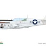 Eduard R0025 P-40N Warhawk Royal Class Dual Combo 1/48