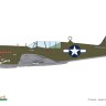Eduard R0025 P-40N Warhawk Royal Class Dual Combo 1/48