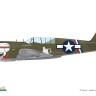 Eduard R0025 P-40N Warhawk Royal Class Dual Combo 1/48