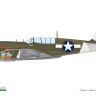 Eduard R0025 P-40N Warhawk Royal Class Dual Combo 1/48