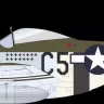Eduard D7252 Decal P-51D-5 '357th FG' (EDU) 1/72
