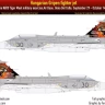 HAD 721006 Decal JAS-39 Gripen Tigermeet 2023 HUNAF 1/72