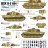 Star Decals 35-C1094 Pz.Kpfw.VI King Tiger / Tiger II # 2. s.SS.Pz-Abt 502 (Ost Front) and s.SS.Pz-Abt 503 (Ost Front / Berlin) 1/35